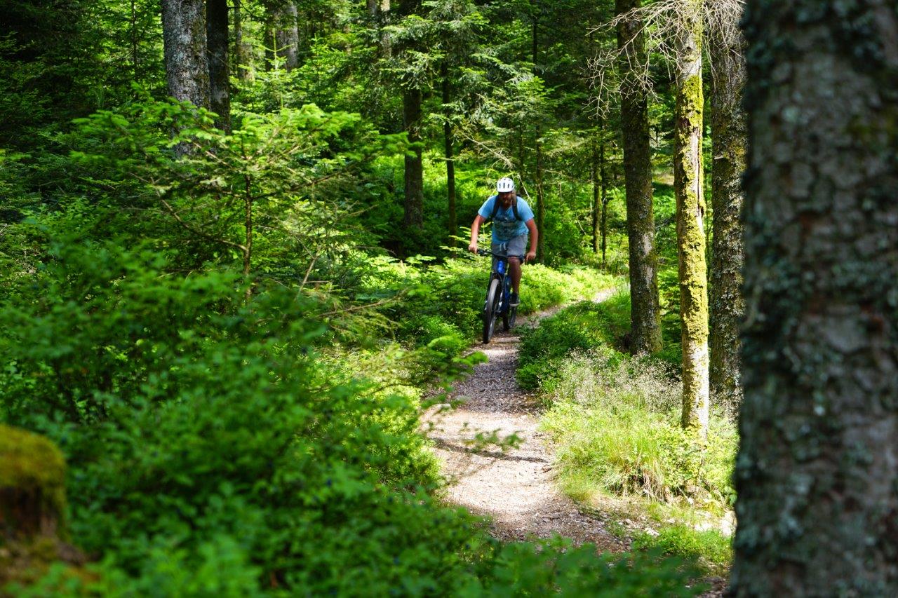 photosFeed-https://sitesvtt.ffc.fr/app/uploads/sites/2/2024/07/VTT_Vosges_Secretes_1_%C2%A9OfficeDeTourismeRemiremontPlombieres.jpg